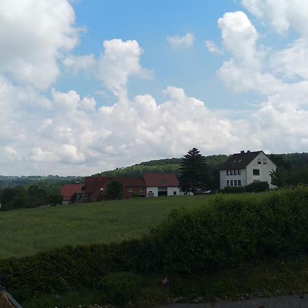 Sonnige Ferienwohnung Am Sternberg Extertal Экстерьер фото