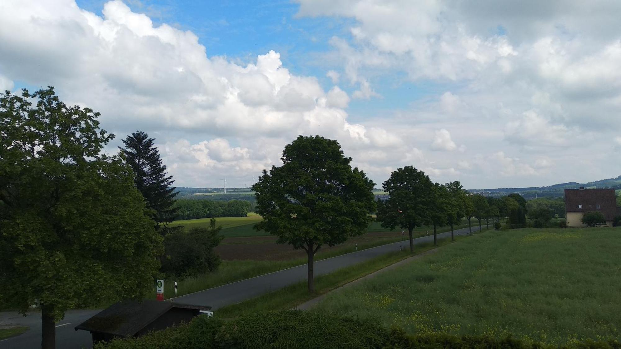 Sonnige Ferienwohnung Am Sternberg Extertal Экстерьер фото