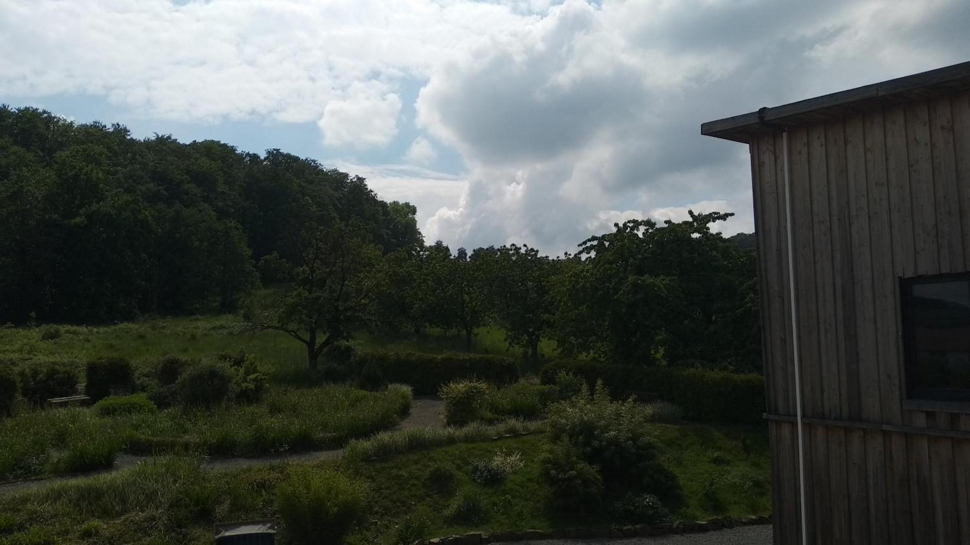 Sonnige Ferienwohnung Am Sternberg Extertal Экстерьер фото